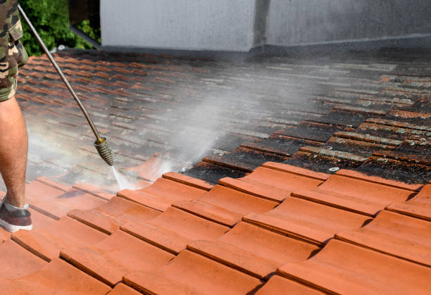 Best Deck Pressure Washing  in Silver Grove, KY