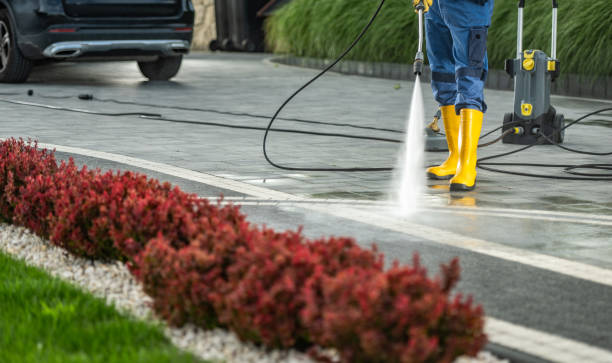 Best Local Pressure Washing Services  in Silver Grove, KY