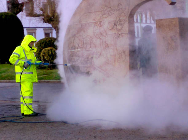 Best Roof Pressure Washing  in Silver Grove, KY