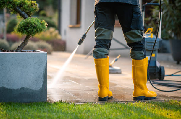 Best Pressure Washing Services for Businesses  in Silver Grove, KY